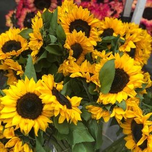 Meet your Posher, Lien